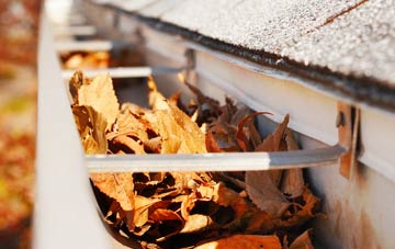 West Green gutter cleaning companies