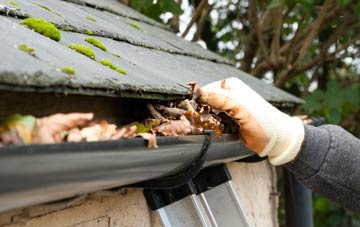 gutter cleaning West Green