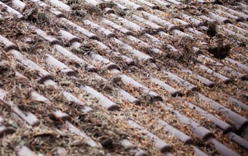 West Green roof cleaning companies