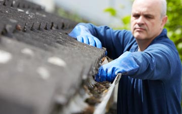 cleaning and inspecting West Green roofs