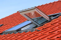 West Green roof window